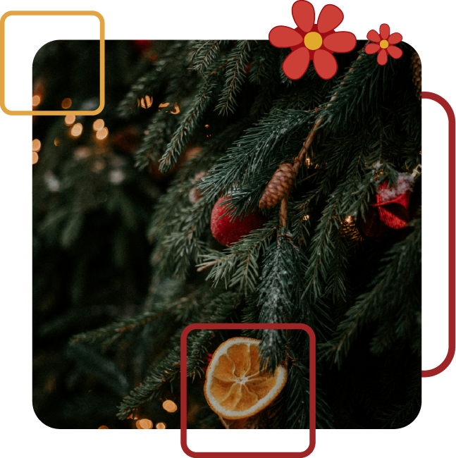 Section Offres de saison de la page Produits & services du P'tit Jardin, jardinerie et fleuriste à Briançon.