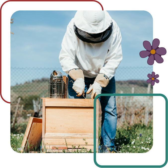 Section Apiculture et terroir de la page Produits & services du P'tit Jardin, jardinerie et fleuriste à Briançon.